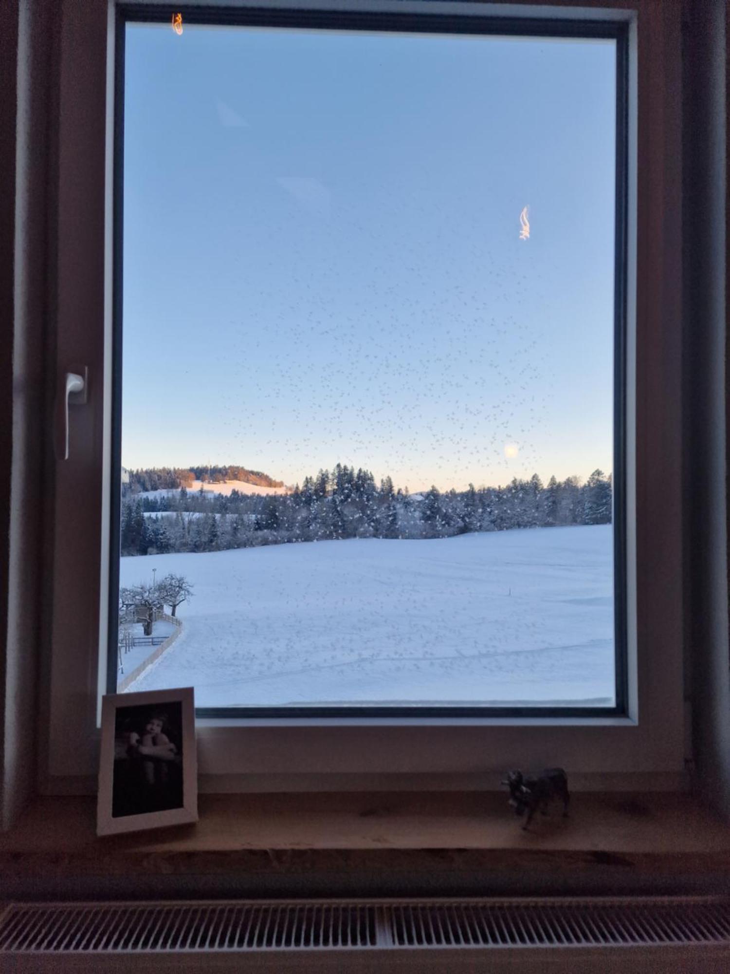 Appartamento Der Perfekte Ausgangspunkt Weiler-Simmerberg Esterno foto
